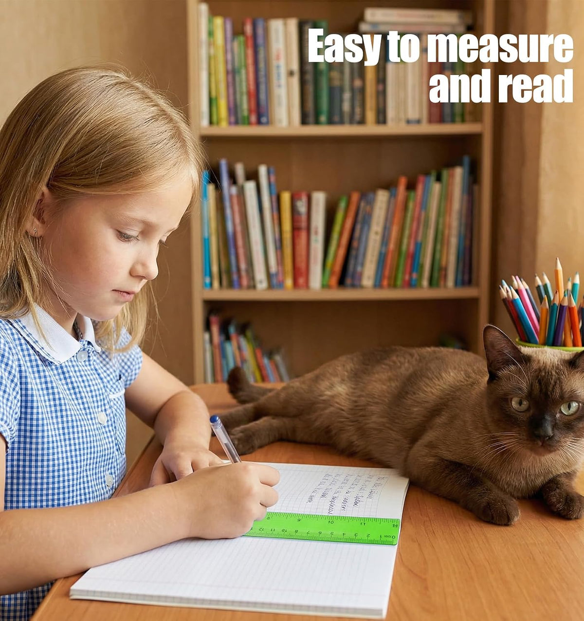 5 Pcs Mini Rulers, 6 Inch Plastic Ruler for School and Office